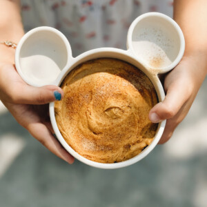 BZS_puding_tikva_rogac