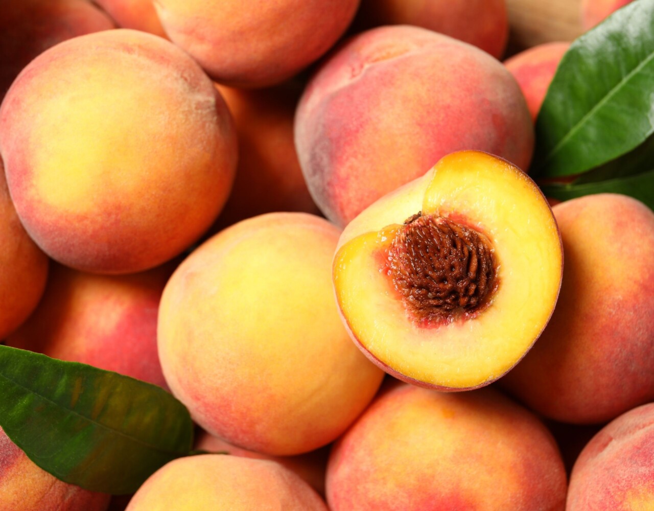 Breskve u prehrani beba