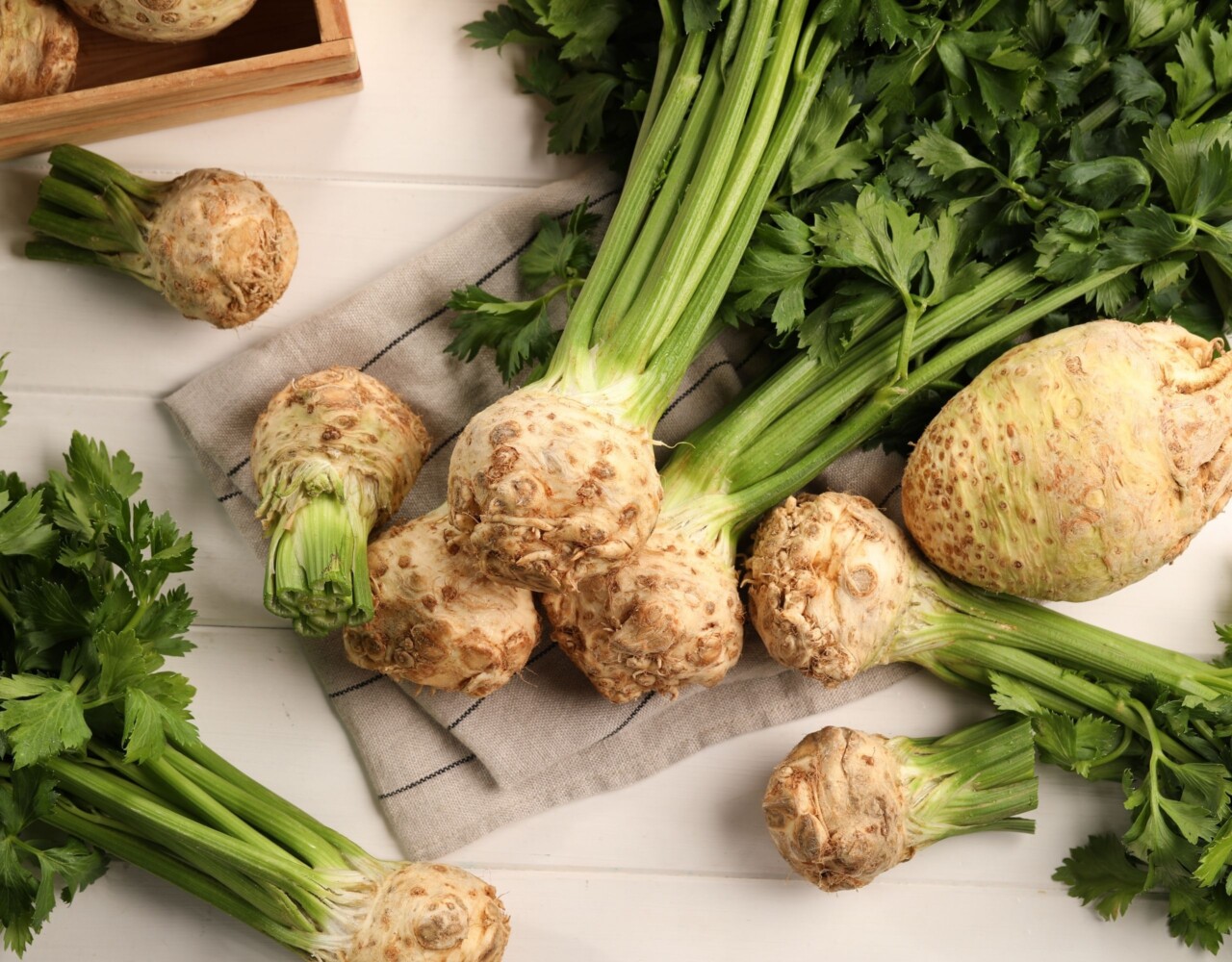 Celer u prehrani beba