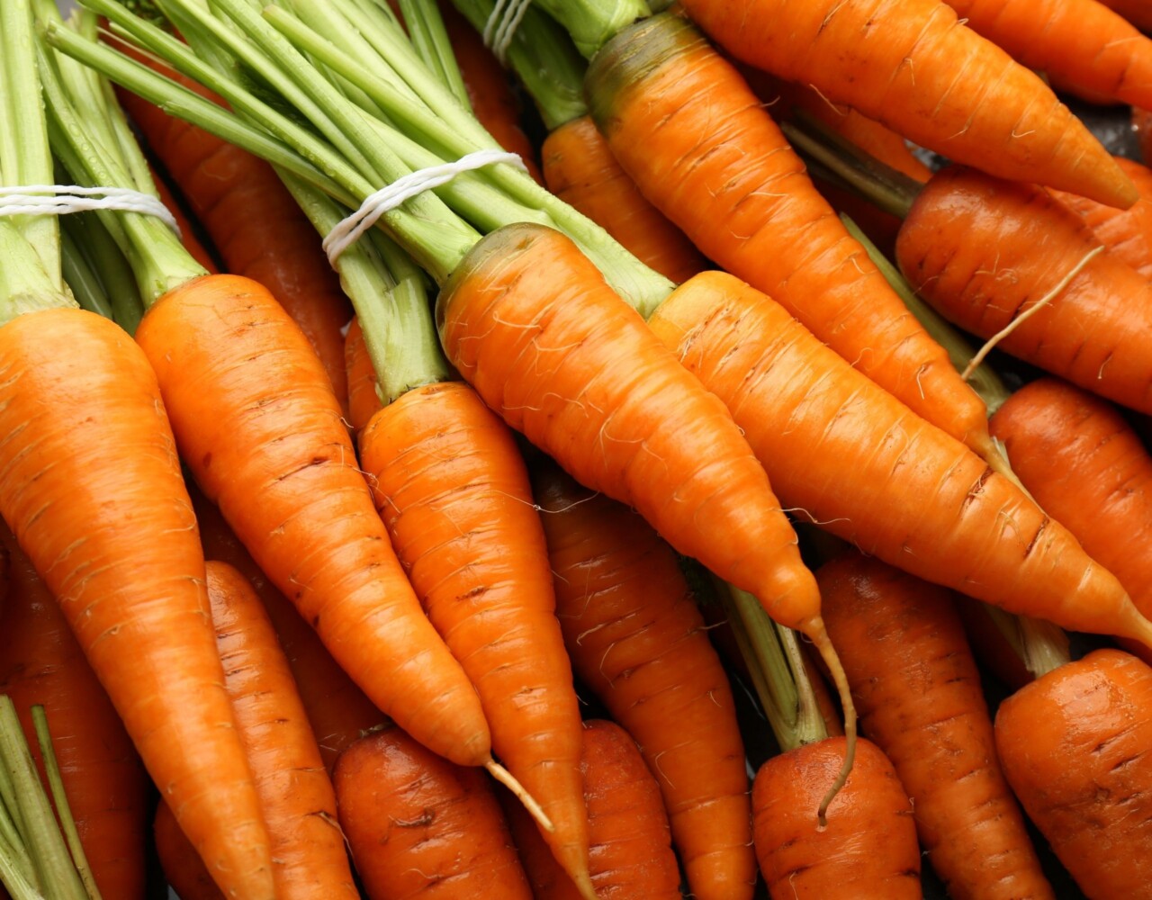 Mrkva u prehrani beba