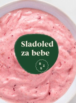 BZS_sladoled Sladoled za bebe
