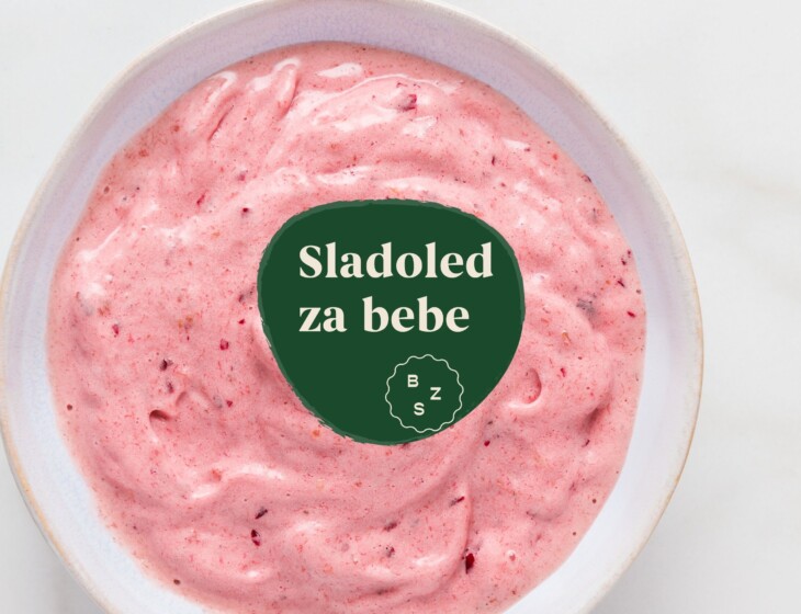 BZS_sladoled Sladoled za bebe