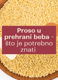 Proso blog
